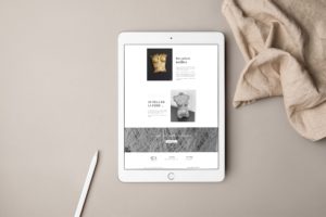 Agence Digital E-commerce Ajaccio web corse the luxurist