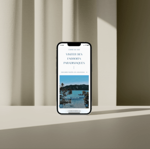 conception site web wordpress vitrine corse webdesign