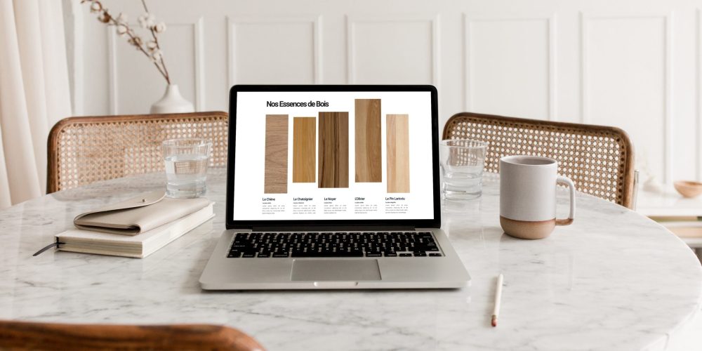 conception site web wordpress vitrine corse webdesign
