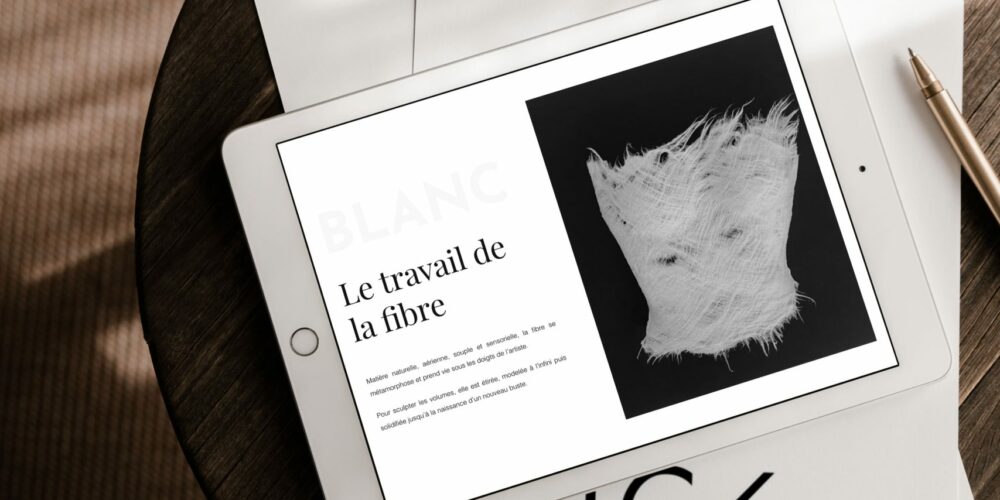 Création de site vitrine  Artiste