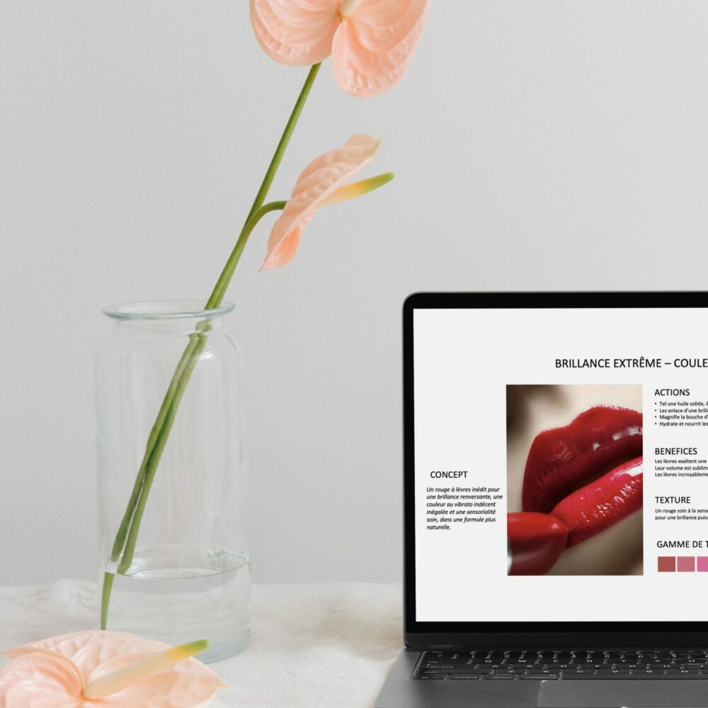 Fiche produit marketing candiotti consulting Politique de Produits