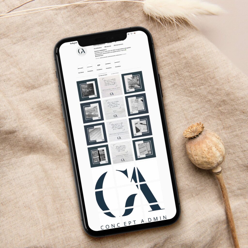 Feed Instagram Gestion Administrative Création de Posts Instagram